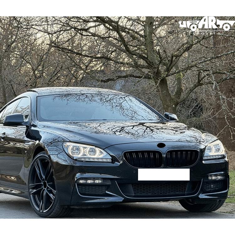 f06 front grille