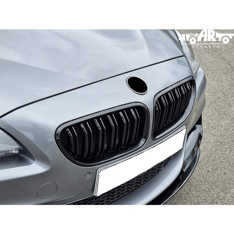 f06 front grill