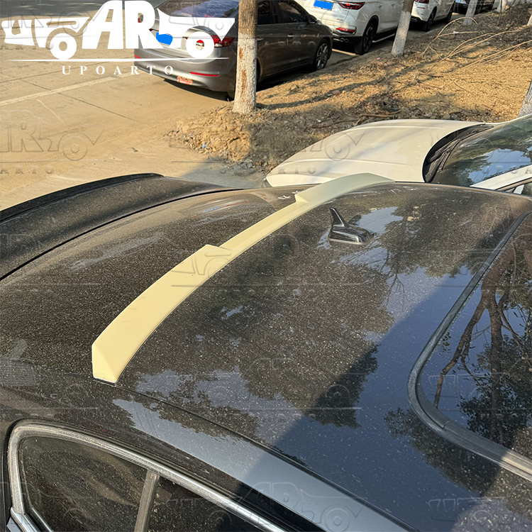 magotan rear roof wing