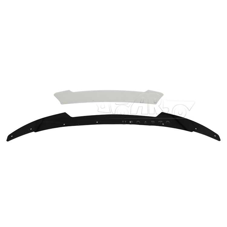 dodge charger wicker spoiler