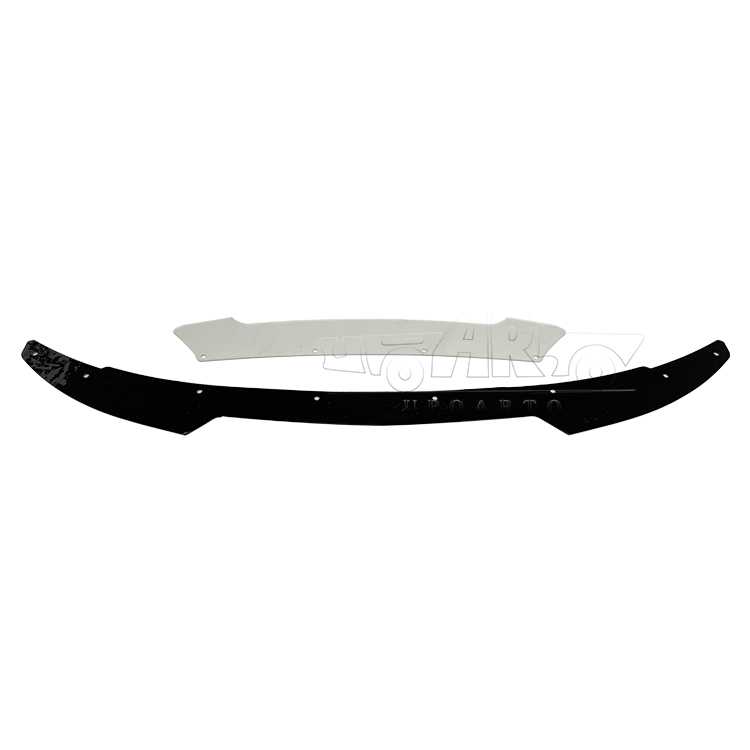 dodge charger scat pack wicker bill
