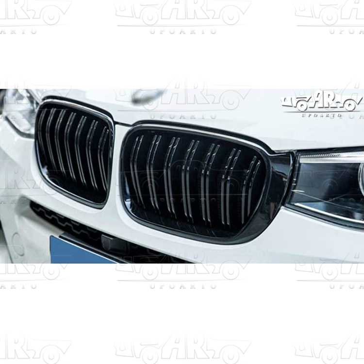 f25 front grille vent