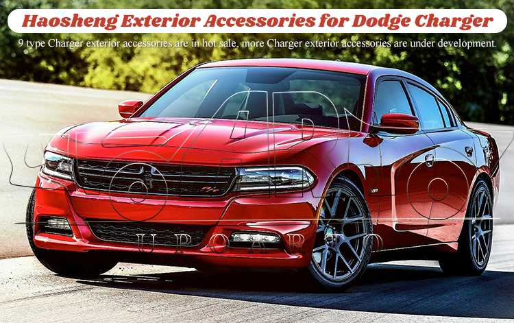dodge charger 2013 rear bumper diffuser