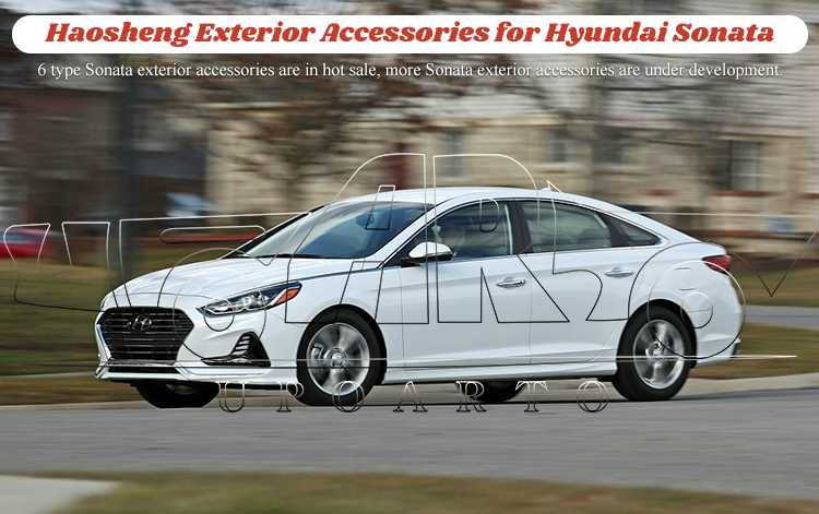 spoiler sonata