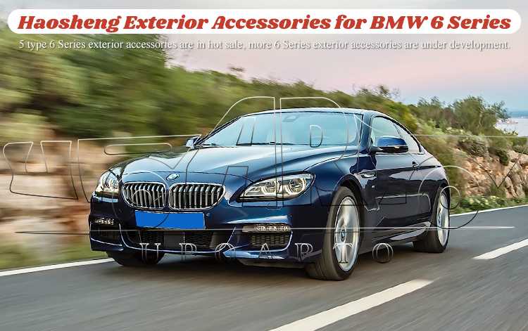 bmw 6 series tuning