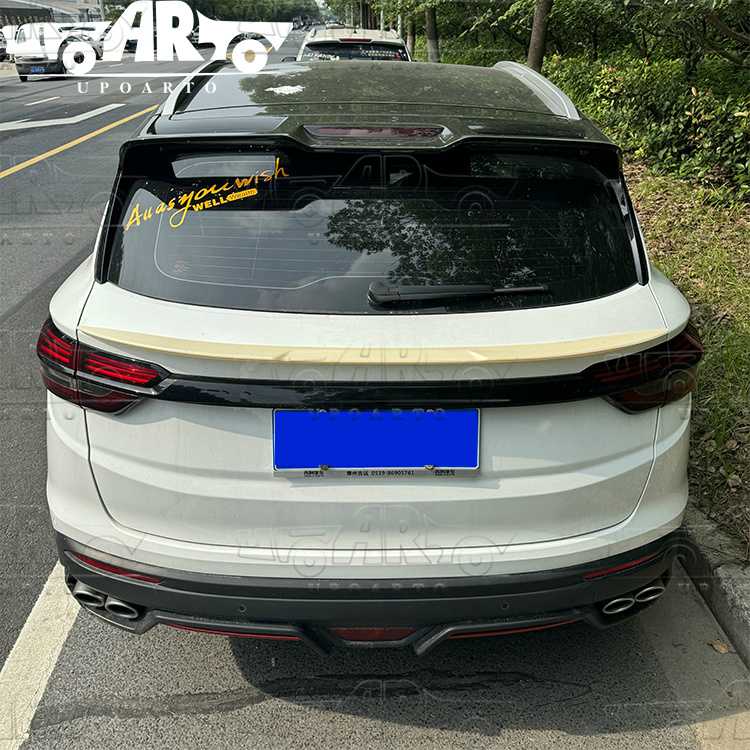 proton back mid wing