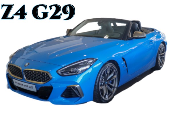 Z4 G29.jpg