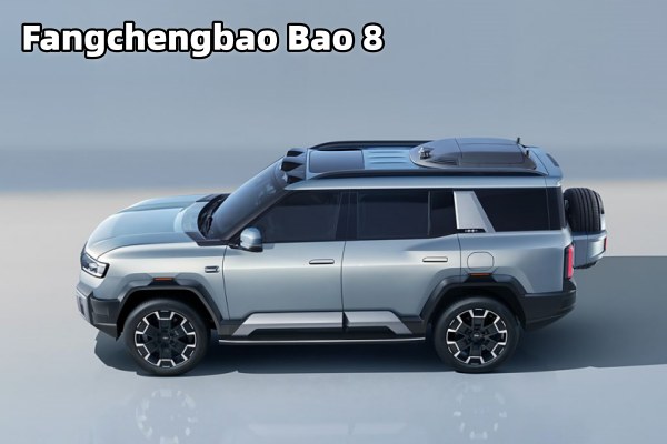 BAO8 byd.jpg