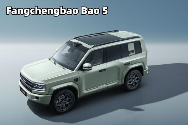 bao5 byd.jpg
